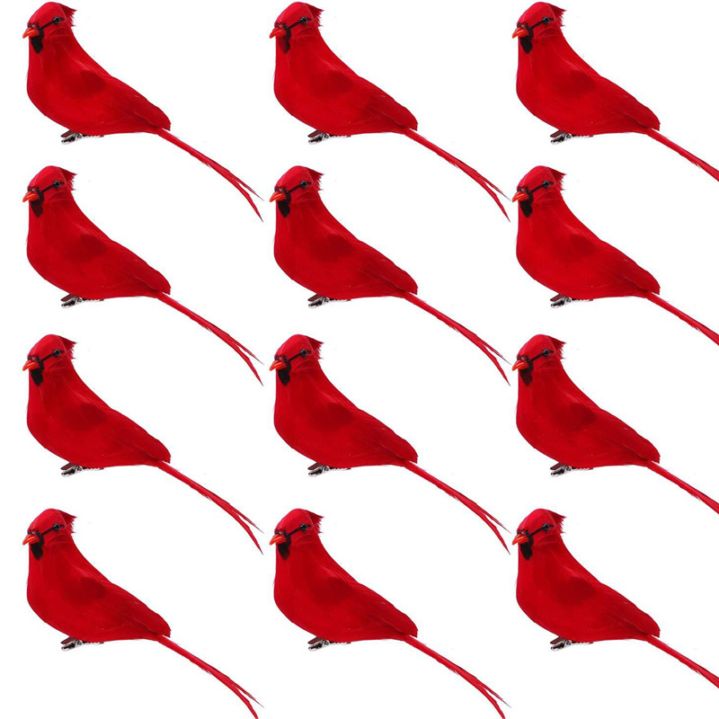 Pájaros del festival