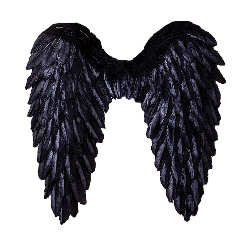 Alas de plumas de la princesa de la princesa